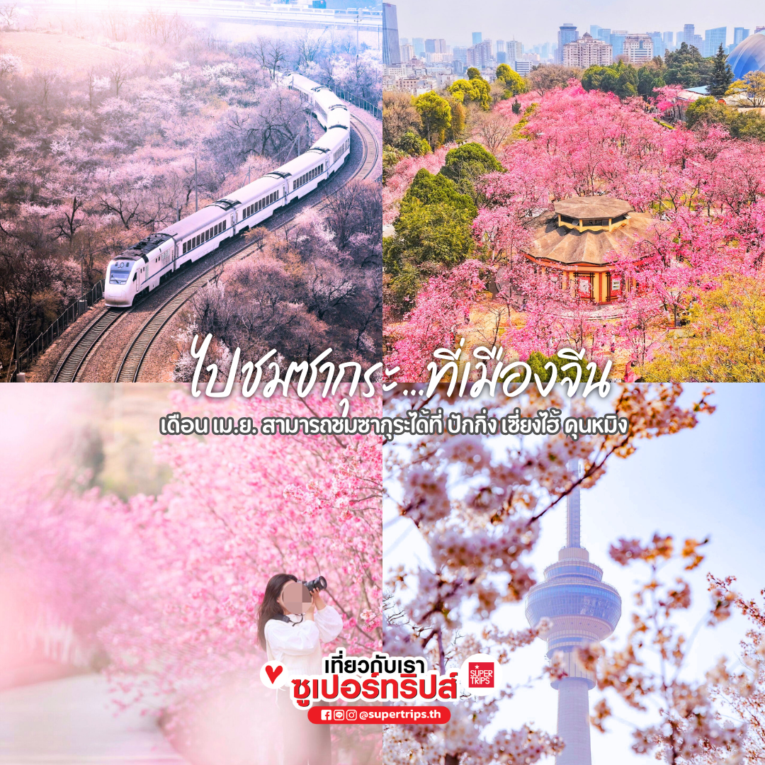 เที่ยวเดือนเมษายน, เที่ยวสงกรานต์ต่างประเทศ, ที่เที่ยวญี่ปุ่นเมษายน, เที่ยวยุโรปใบไม้ผลิ, ชมซากุระต่างประเทศ, ชมทิวลิปยุโรป, ดูแสงเหนือเมษายน, เที่ยวไอซ์แลนด์เมษายน, เที่ยวจีนเดือนเมษายน