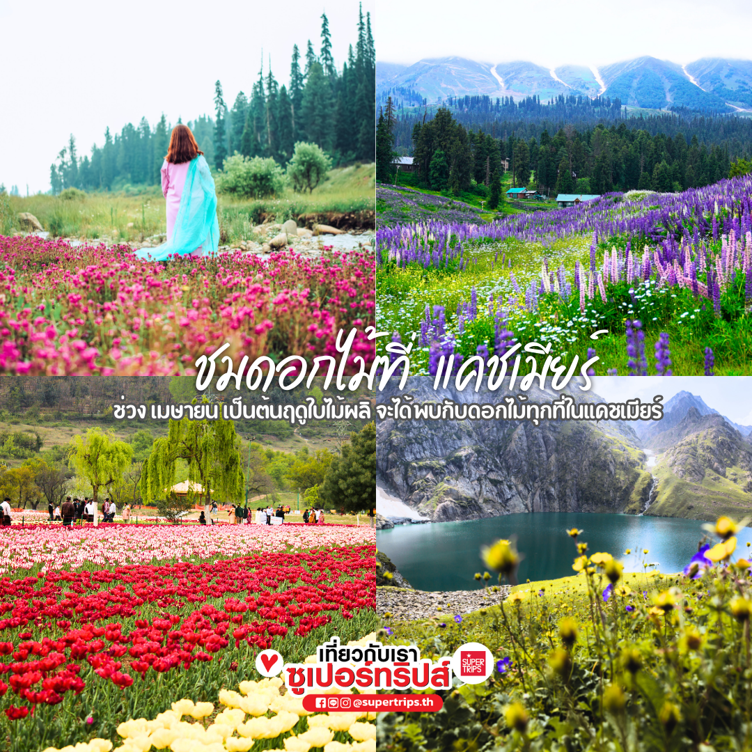 เที่ยวเดือนเมษายน, เที่ยวสงกรานต์ต่างประเทศ, ที่เที่ยวญี่ปุ่นเมษายน, เที่ยวยุโรปใบไม้ผลิ, ชมซากุระต่างประเทศ, ชมทิวลิปยุโรป, ดูแสงเหนือเมษายน, เที่ยวไอซ์แลนด์เมษายน, เที่ยวจีนเดือนเมษายน