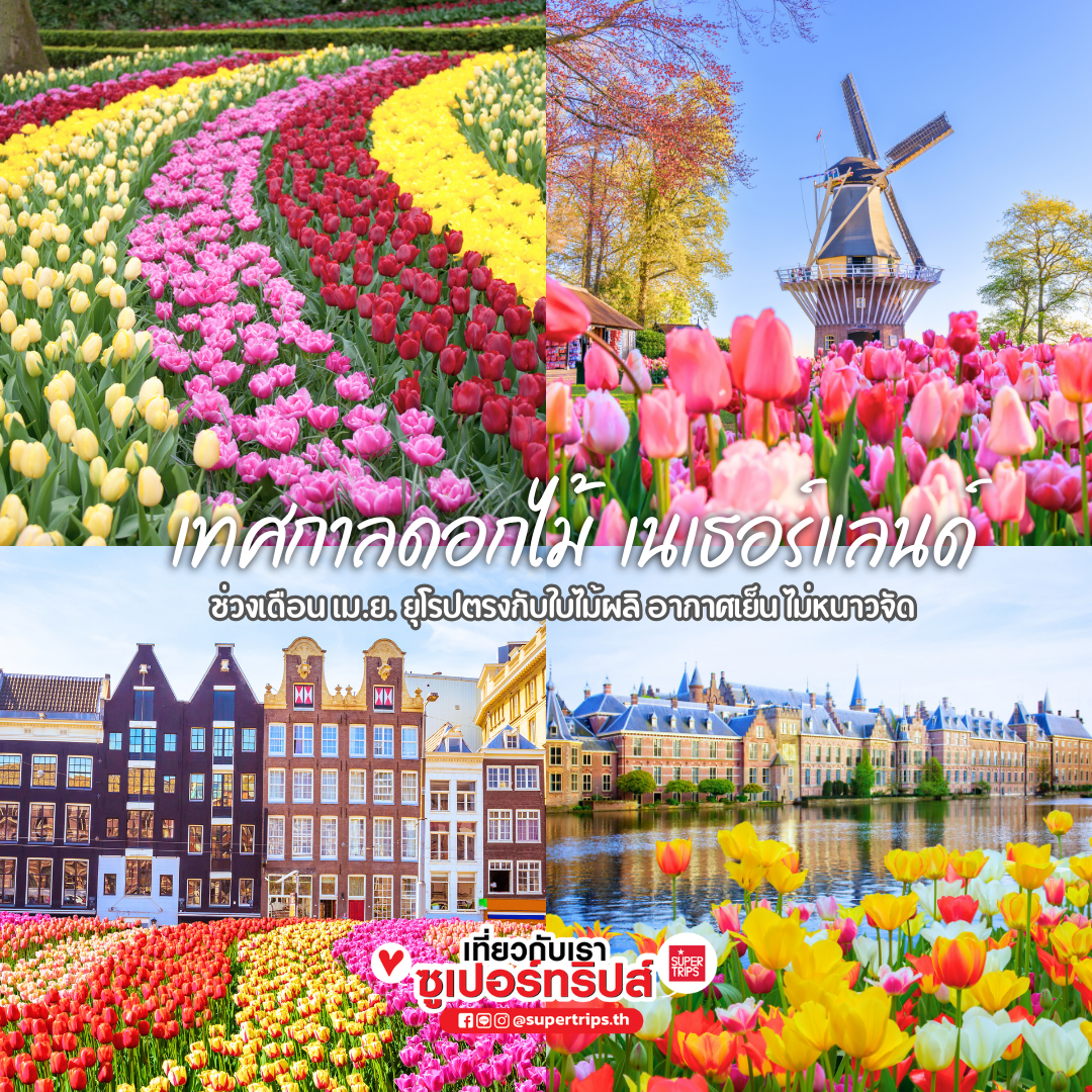 เที่ยวเดือนเมษายน, เที่ยวสงกรานต์ต่างประเทศ, ที่เที่ยวญี่ปุ่นเมษายน, เที่ยวยุโรปใบไม้ผลิ, ชมซากุระต่างประเทศ, ชมทิวลิปยุโรป, ดูแสงเหนือเมษายน, เที่ยวไอซ์แลนด์เมษายน, เที่ยวจีนเดือนเมษายน