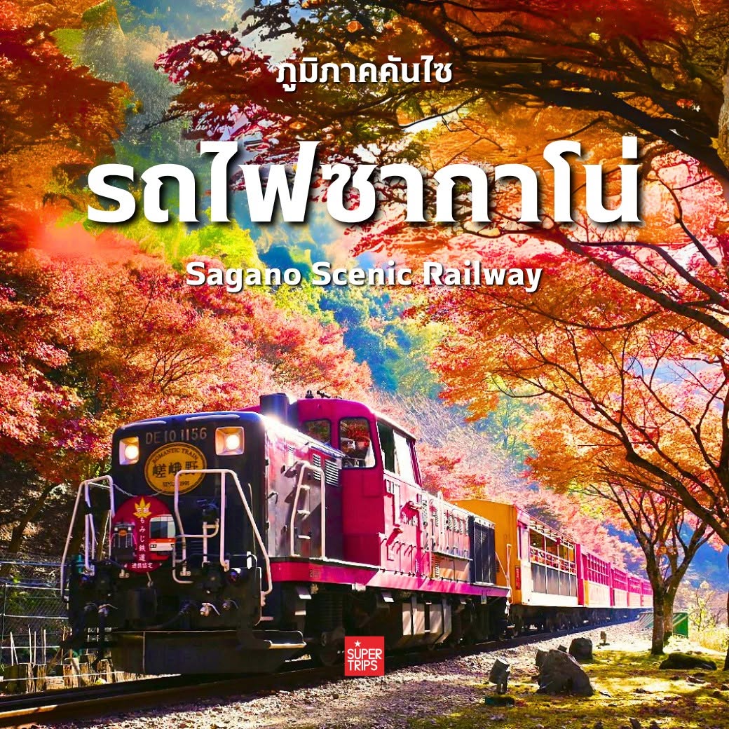 ใบไม้เปลี่ยนสี ญี่ปุ่น, เที่ยวคันไซ ใบไม้แดง, ชิราคาวาโกะ ใบไม้เปลี่ยนสี, โครังเค ใบไม้แดง, ซากุระ โอบาระ, supertrips, ซูเปอร์ทริปส์