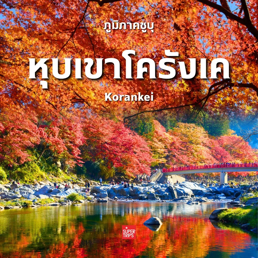 ใบไม้เปลี่ยนสี ญี่ปุ่น, เที่ยวคันไซ ใบไม้แดง, ชิราคาวาโกะ ใบไม้เปลี่ยนสี, โครังเค ใบไม้แดง, ซากุระ โอบาระ, supertrips, ซูเปอร์ทริปส์